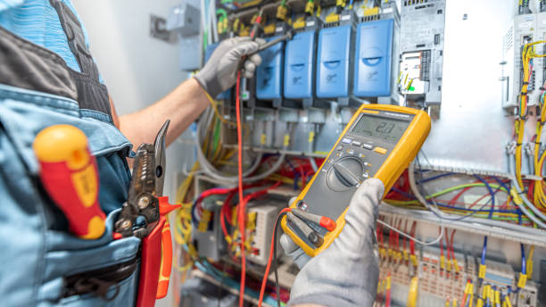 Best Electric Panel Repair  in Somerset, WI